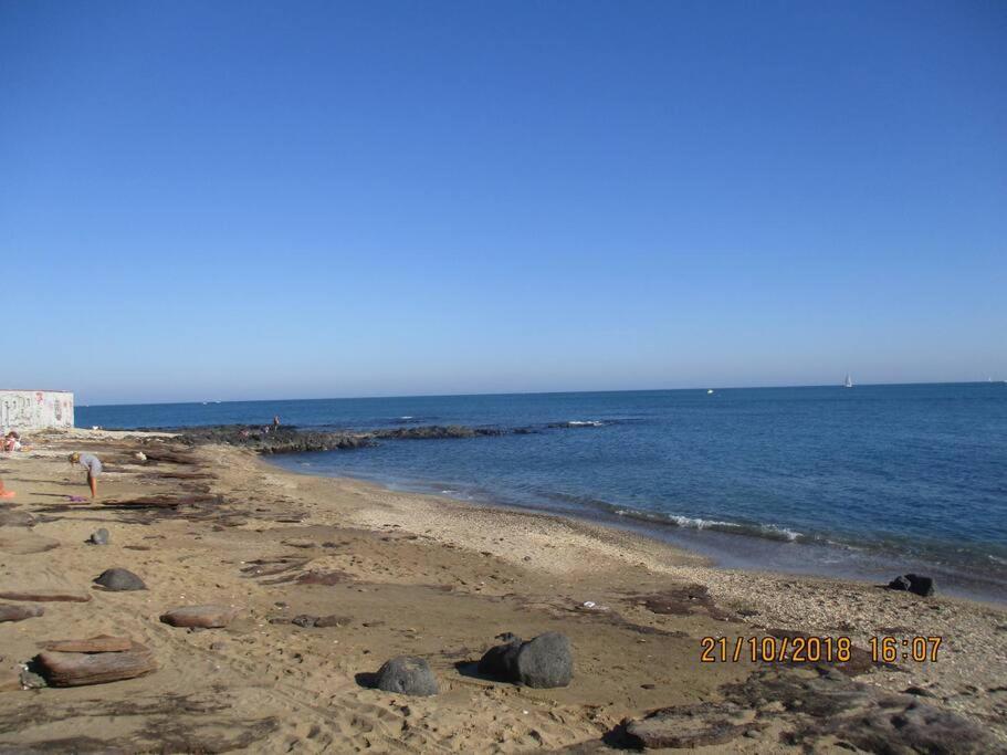 Studio Port Du Cap D'Agde Buitenkant foto