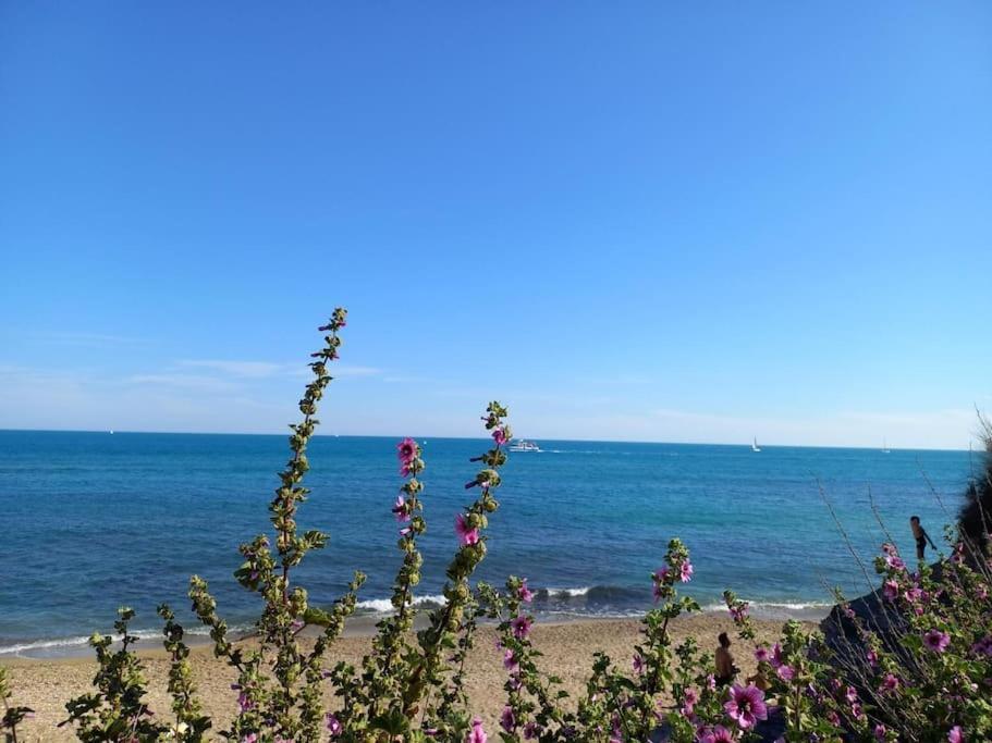 Studio Port Du Cap D'Agde Buitenkant foto